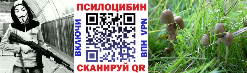 где купить наркоту  Черепаново  Галлюциногенные грибы мухоморы 