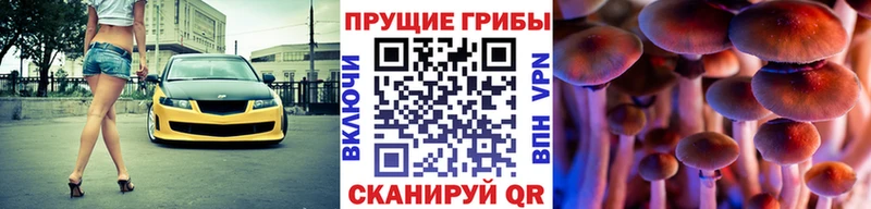 Галлюциногенные грибы MAGIC MUSHROOMS Черепаново